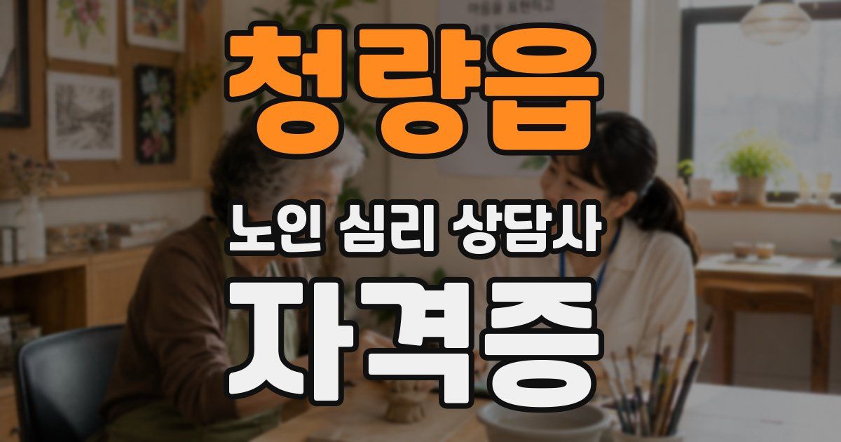 청량읍 노인 심리 상담사 자격증
