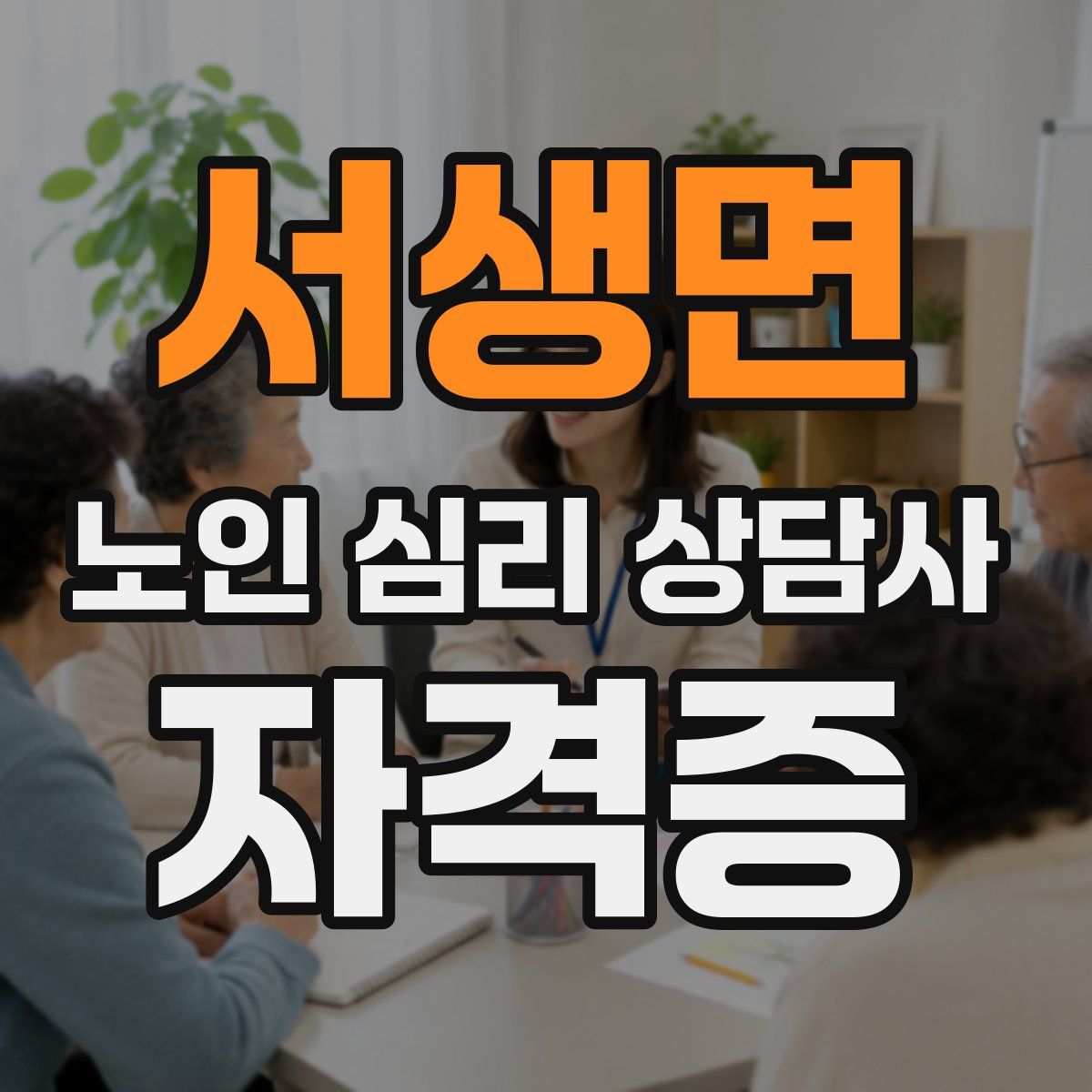 서생면 노인 심리 상담사 자격증