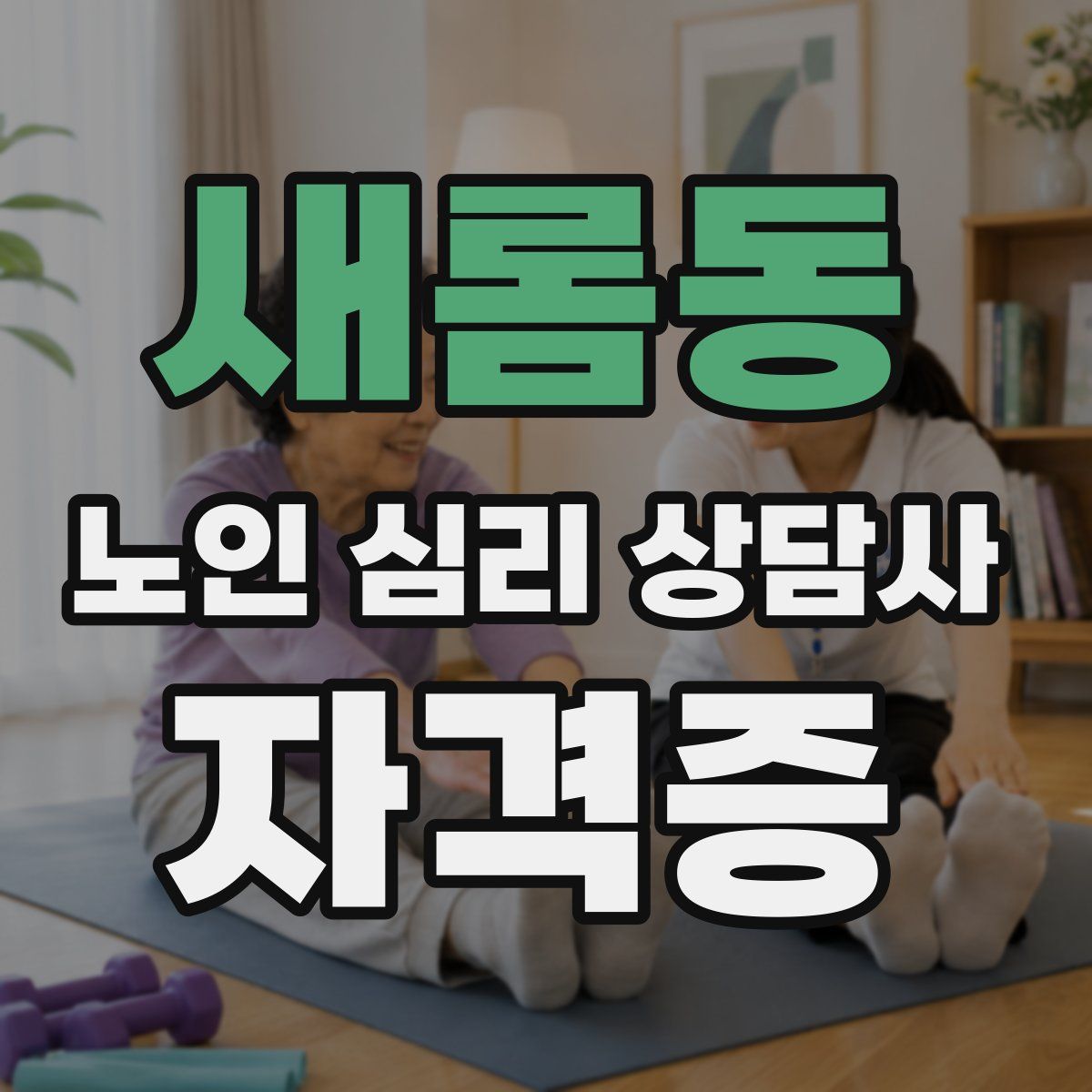 새롬동 노인 심리 상담사 자격증