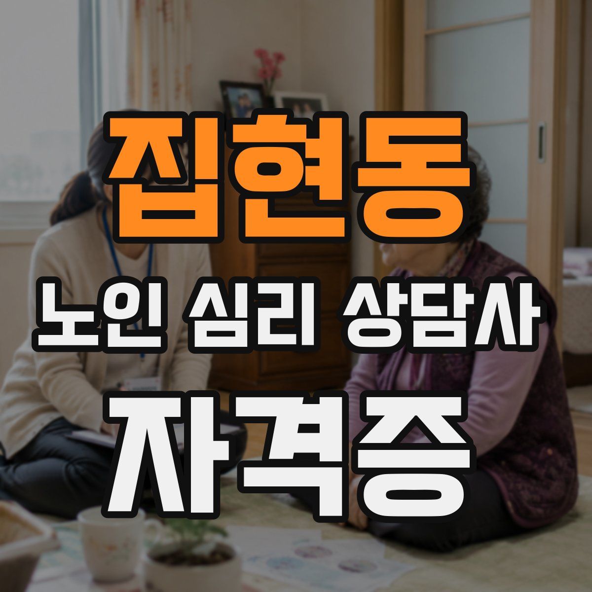 집현동 노인 심리 상담사 자격증