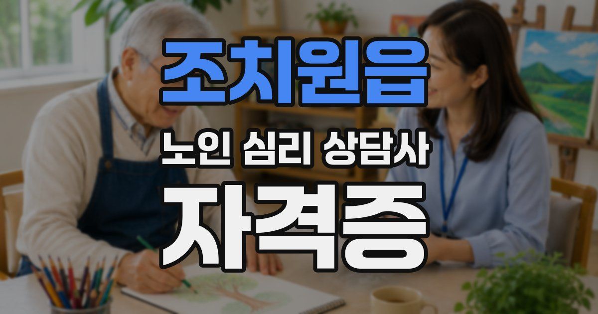 조치원읍 노인 심리 상담사 자격증