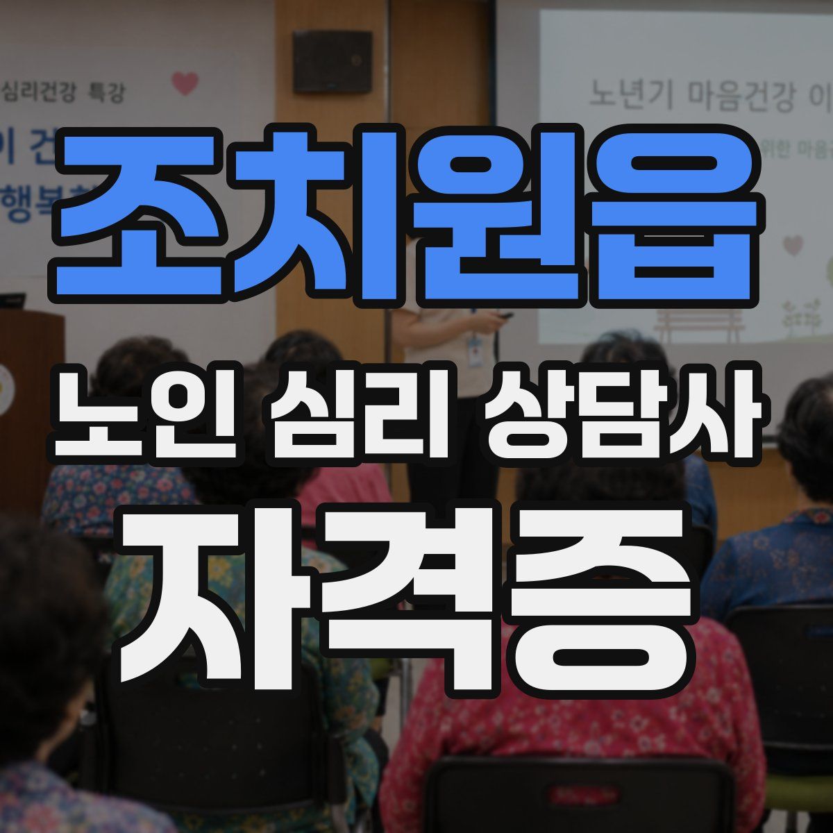 조치원읍 노인 심리 상담사 자격증