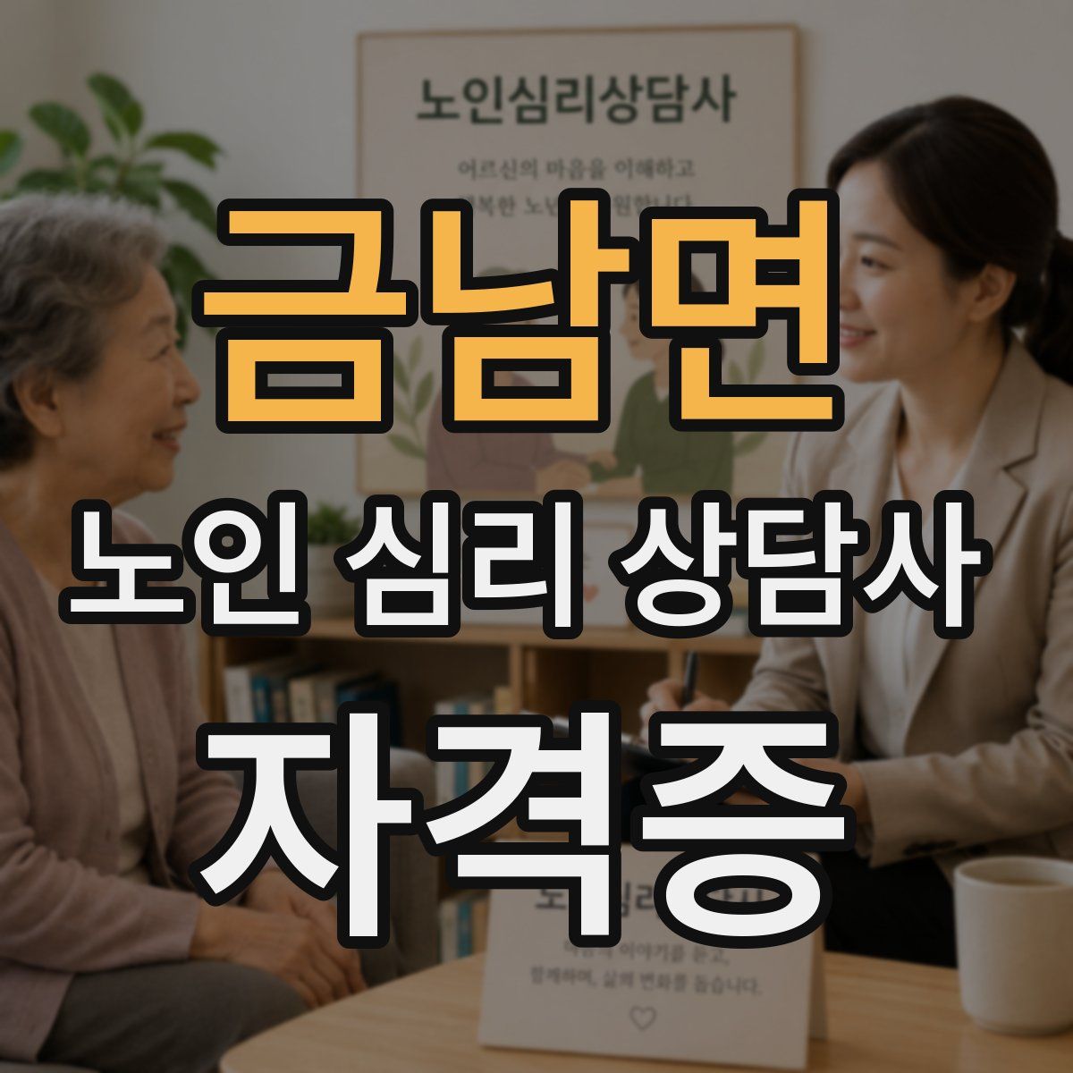 금남면 노인 심리 상담사 자격증