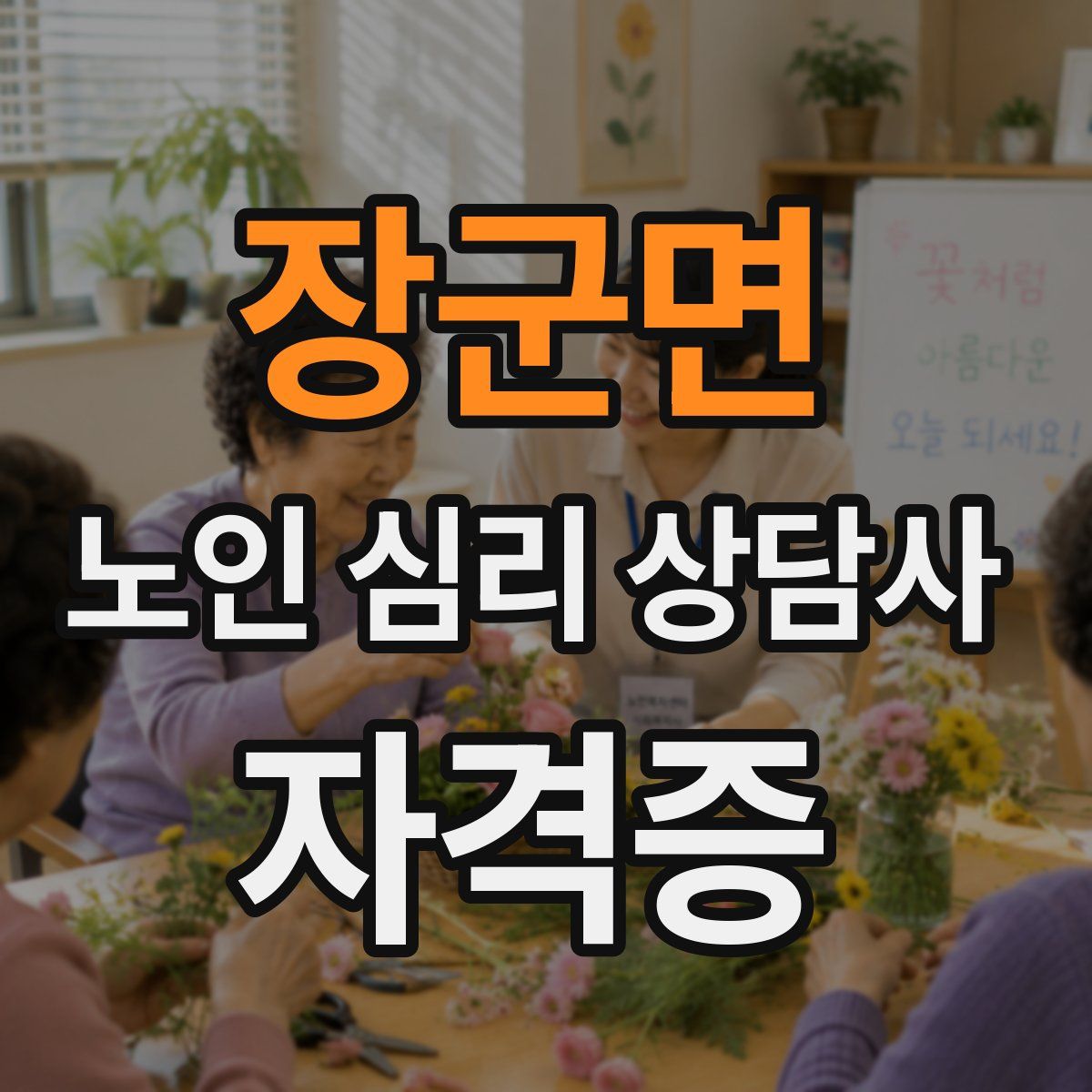 장군면 노인 심리 상담사 자격증