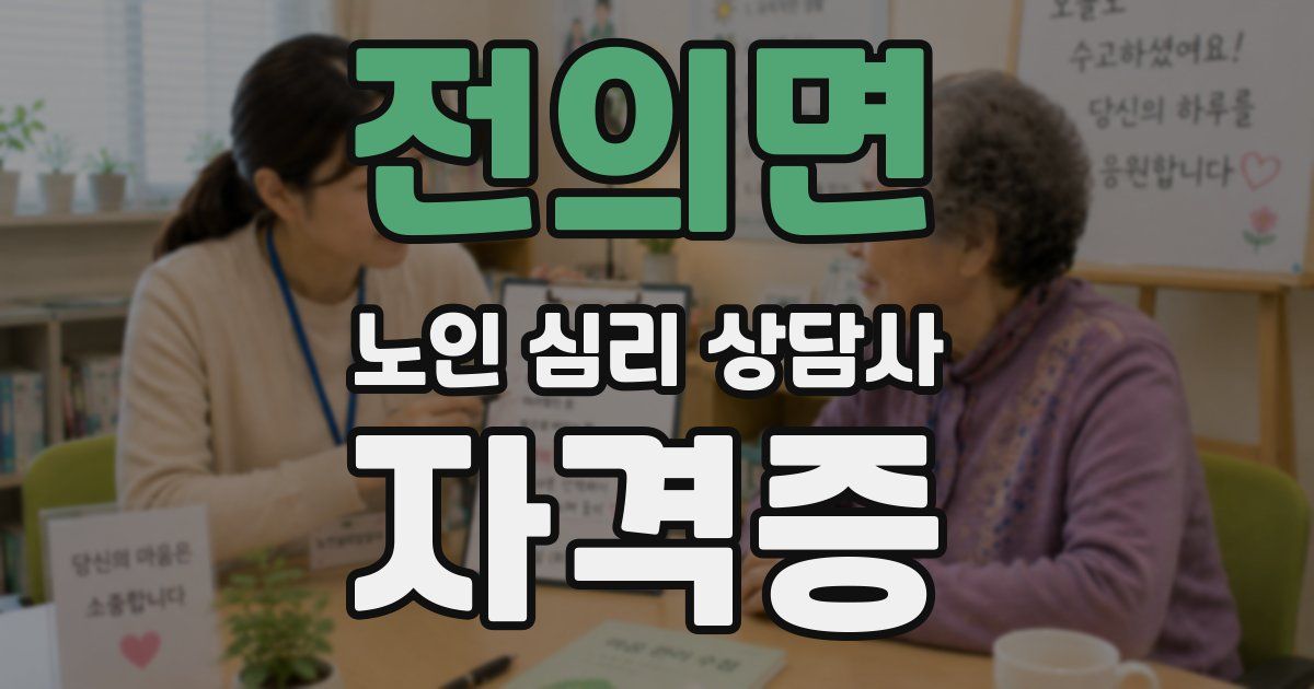 전의면 노인 심리 상담사 자격증