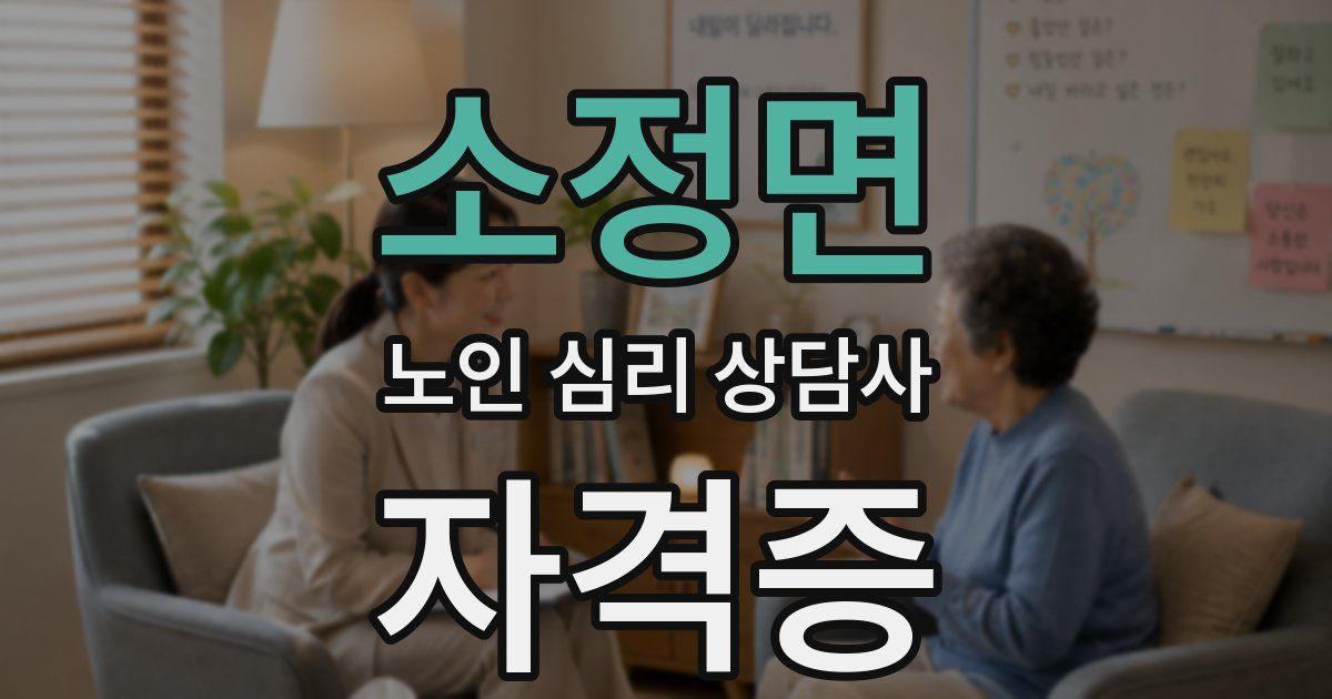 소정면 노인 심리 상담사 자격증