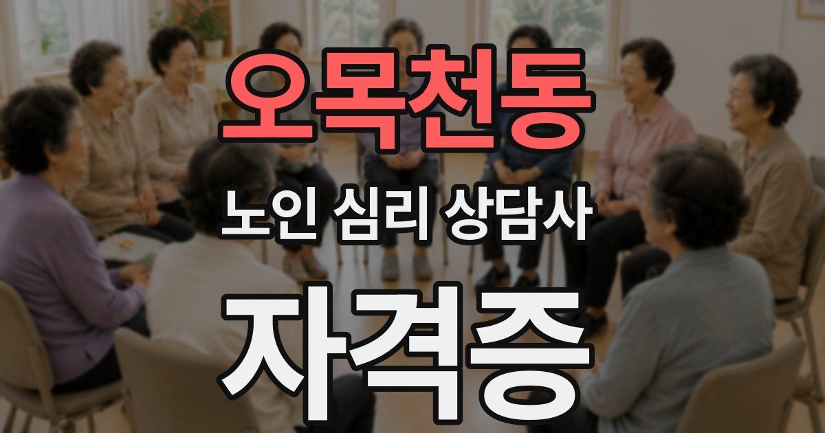 오목천동 노인 심리 상담사 자격증
