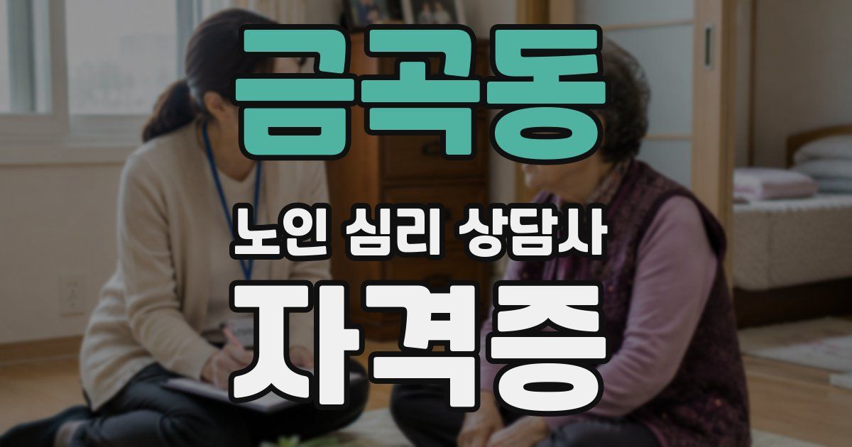 금곡동 노인 심리 상담사 자격증