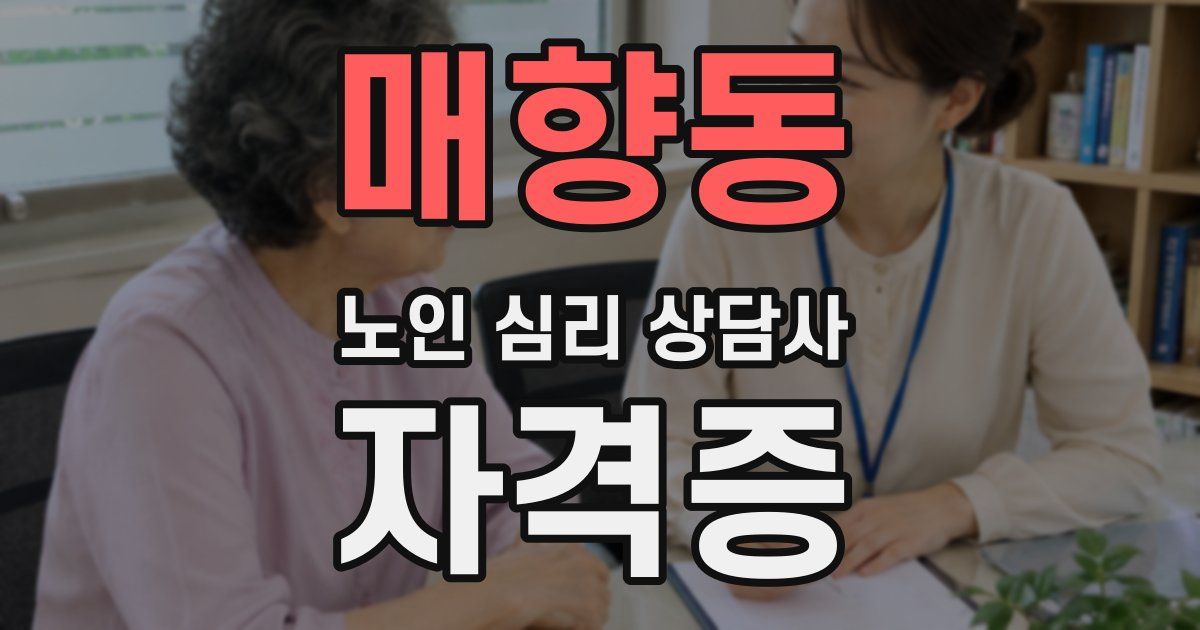 매향동 노인 심리 상담사 자격증