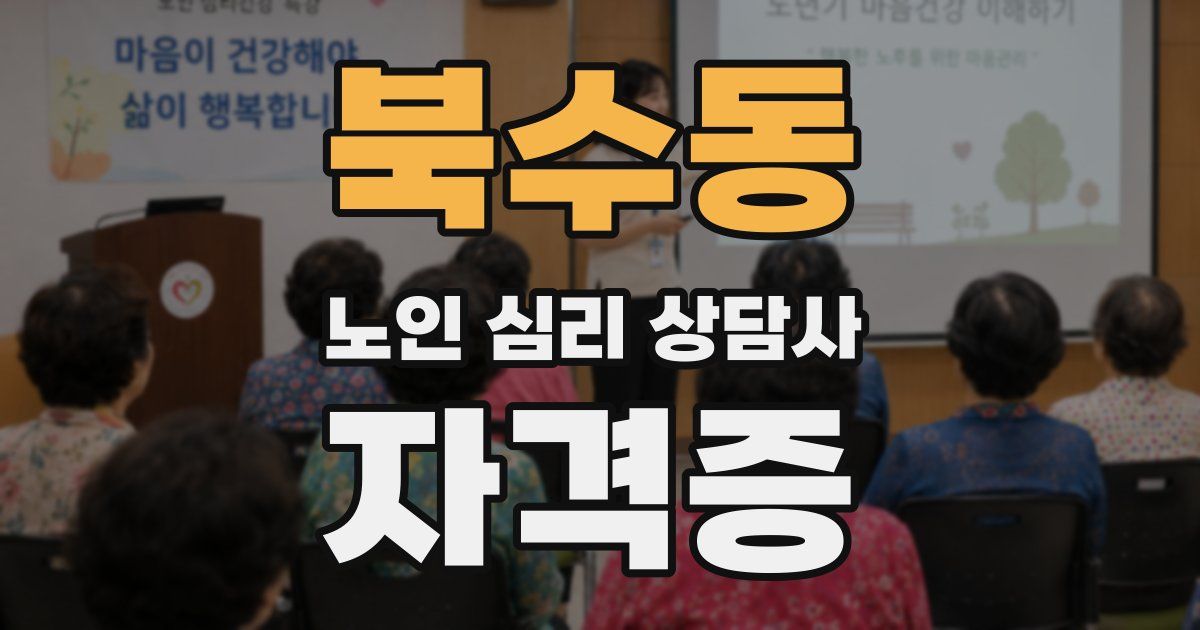 북수동 노인 심리 상담사 자격증