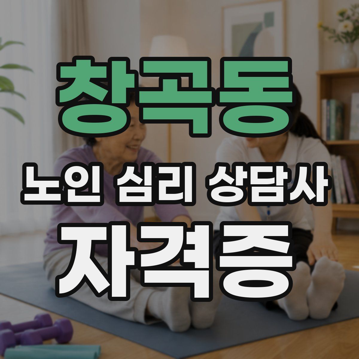 창곡동 노인 심리 상담사 자격증