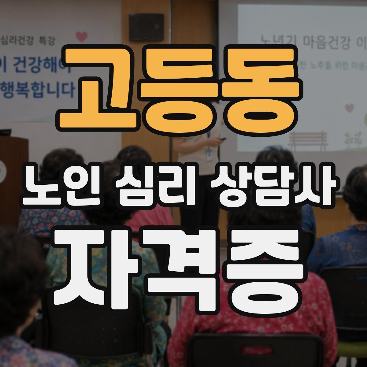 고등동 노인 심리 상담사 자격증