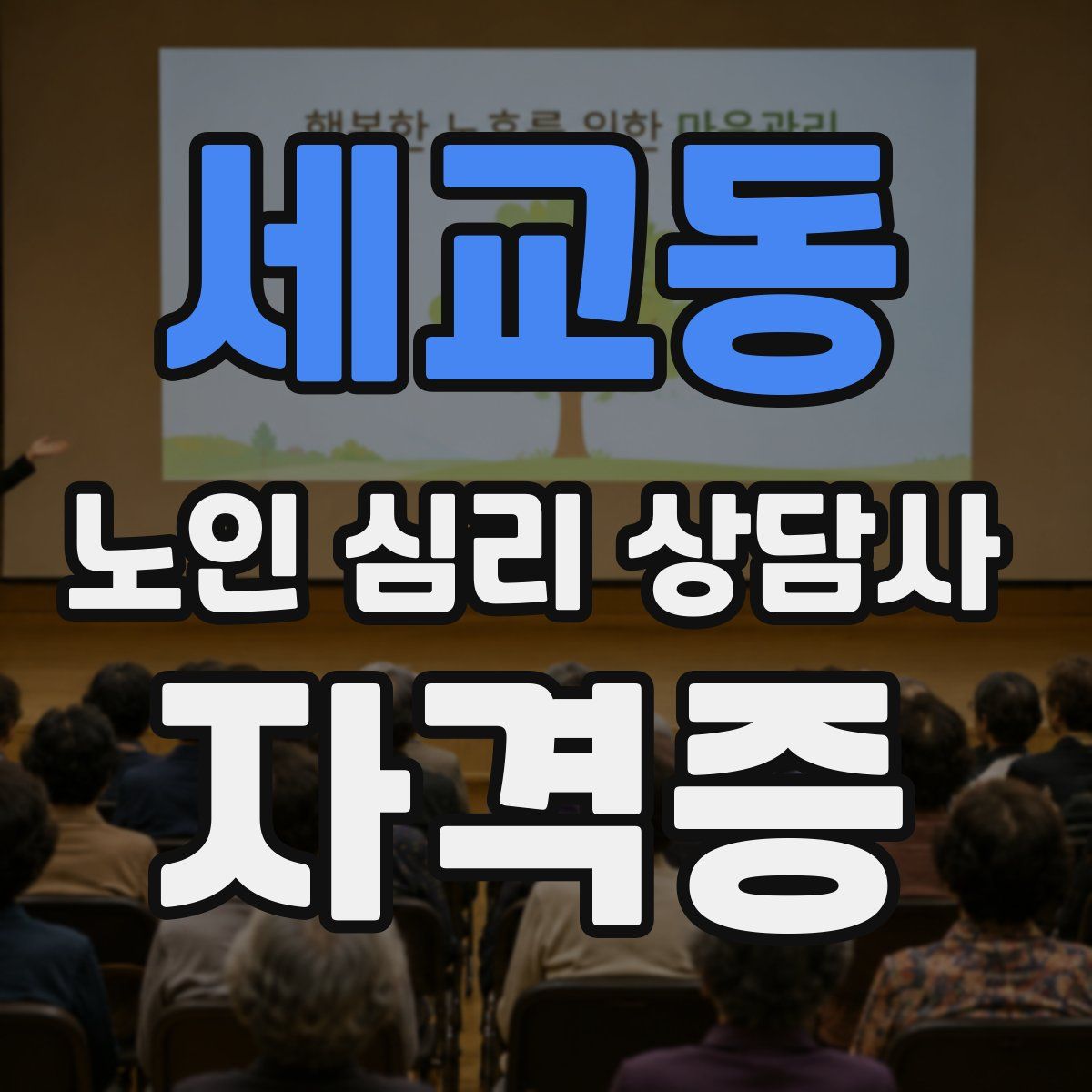세교동 노인 심리 상담사 자격증