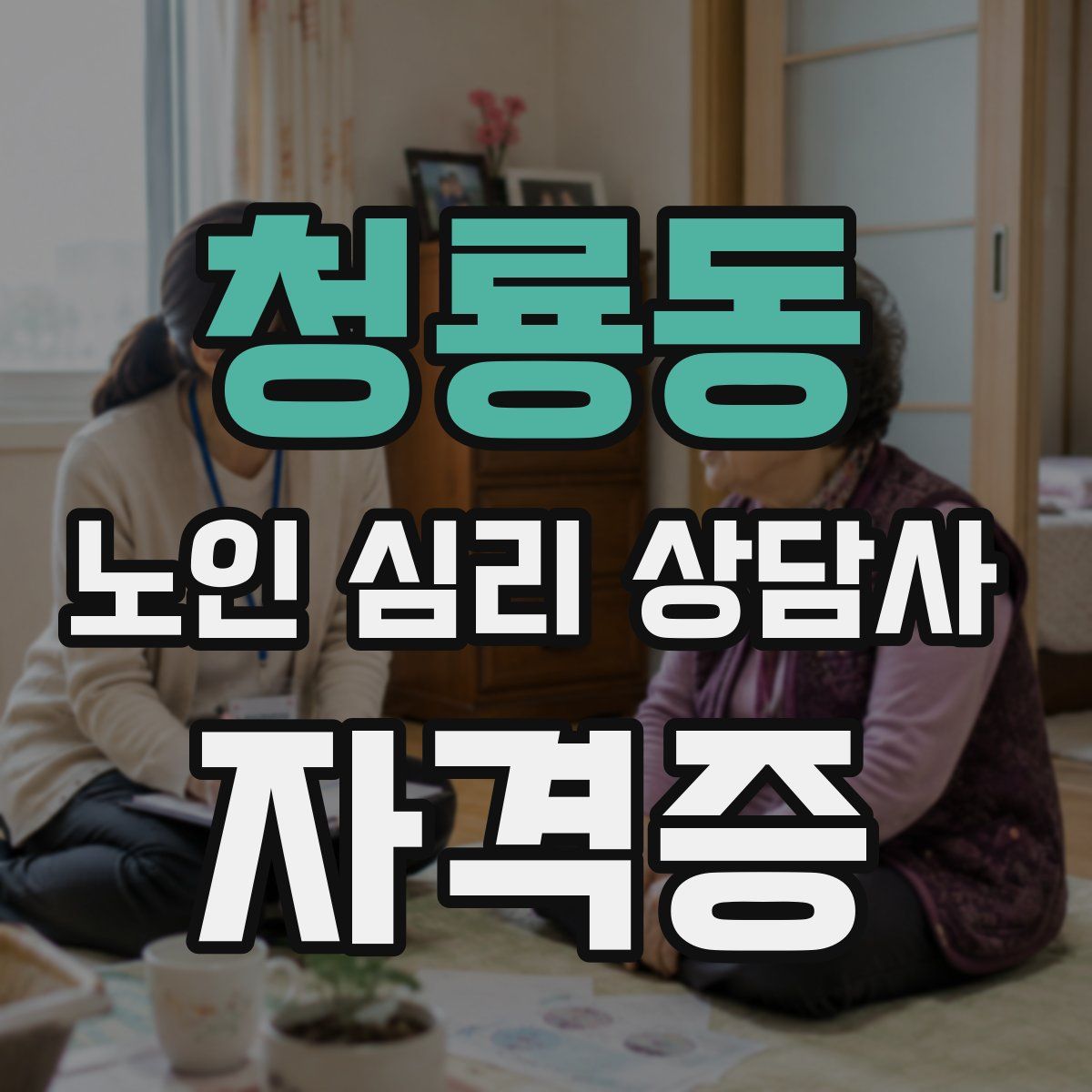 청룡동 노인 심리 상담사 자격증