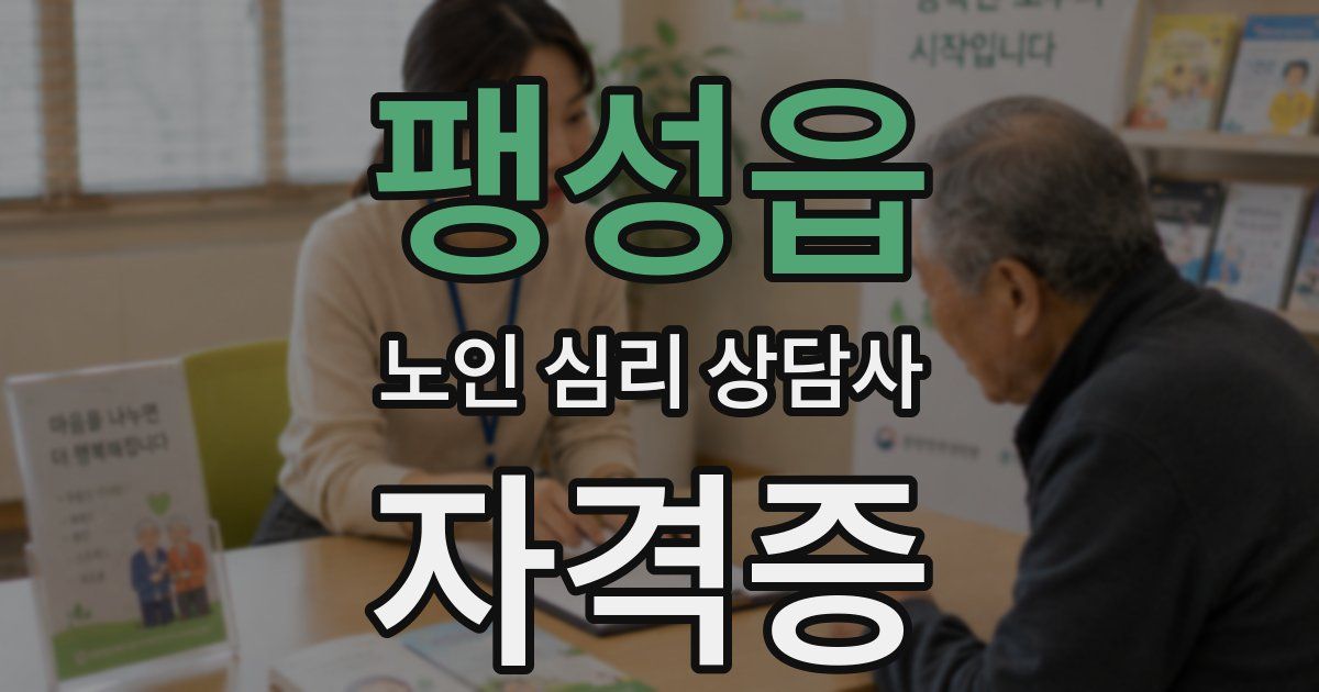 팽성읍 노인 심리 상담사 자격증