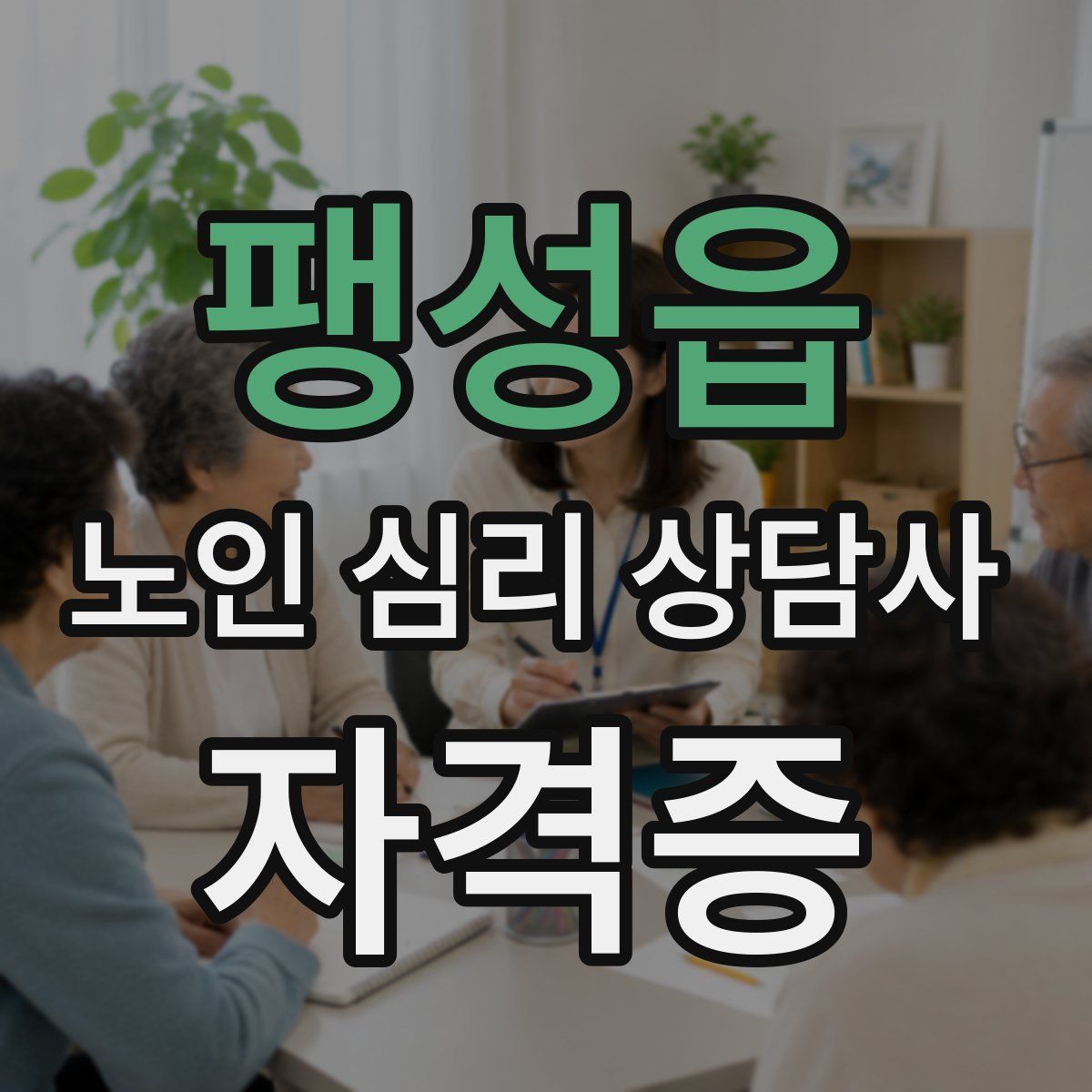 팽성읍 노인 심리 상담사 자격증