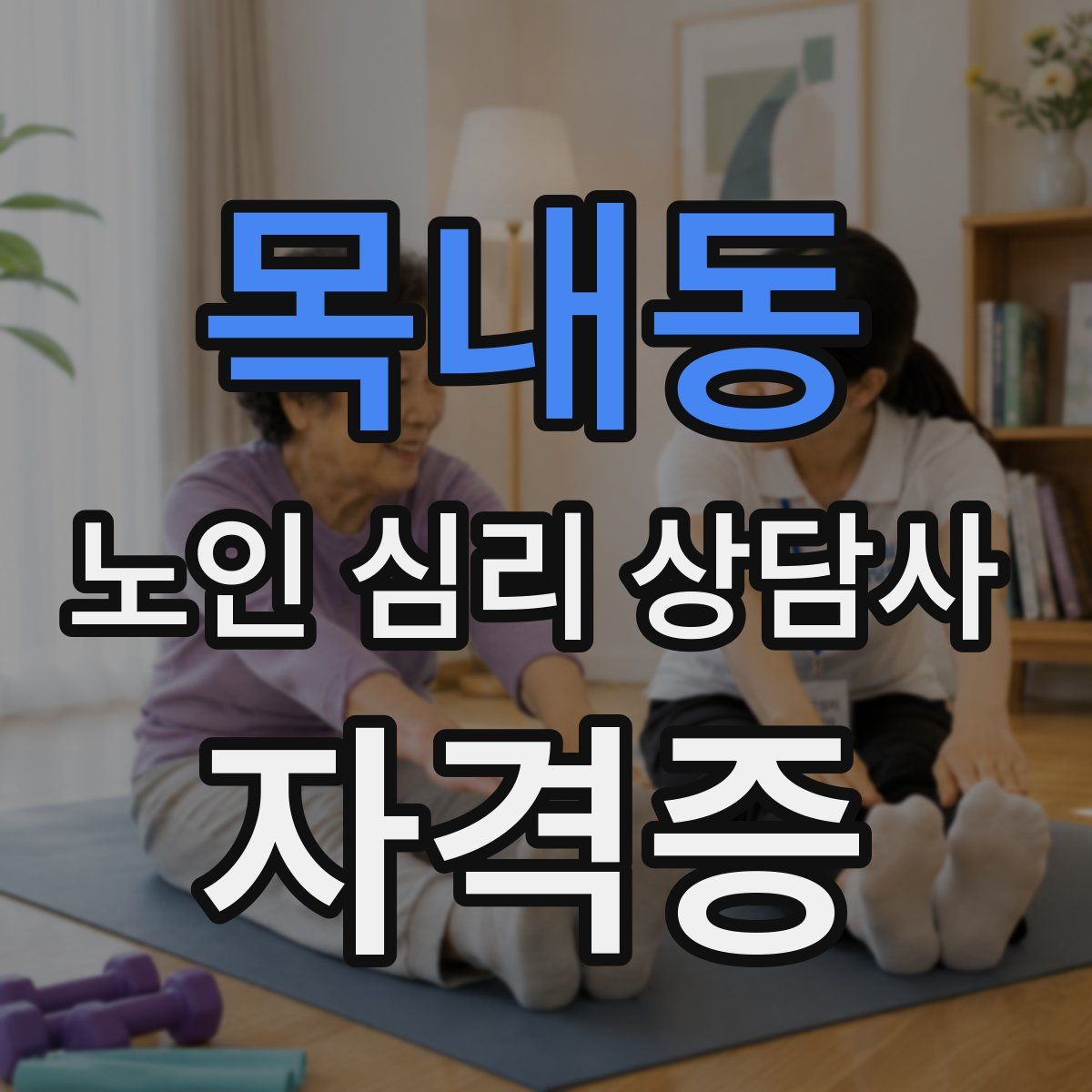 목내동 노인 심리 상담사 자격증