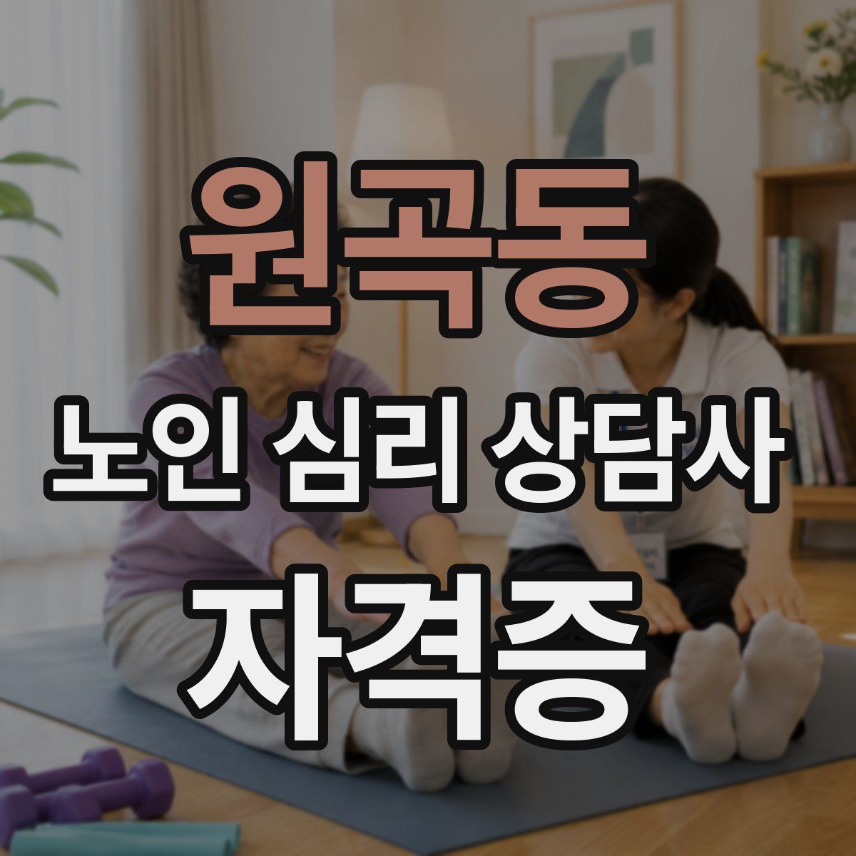 원곡동 노인 심리 상담사 자격증