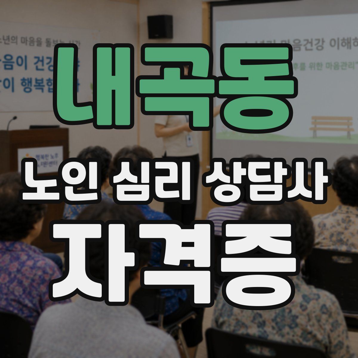 내곡동 노인 심리 상담사 자격증