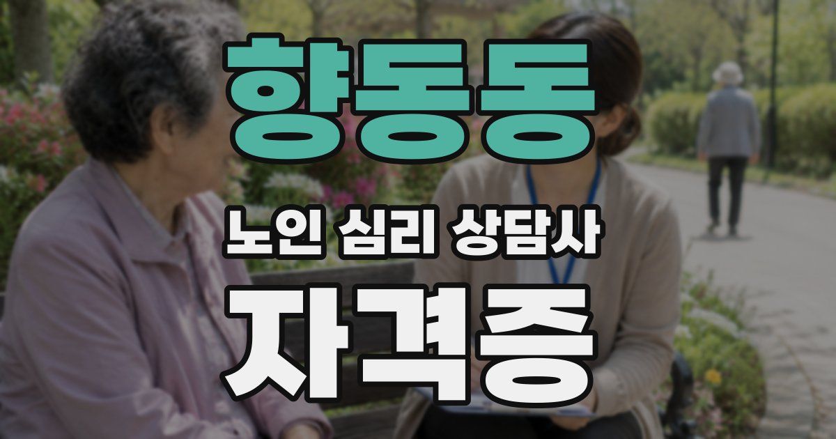 향동동 노인 심리 상담사 자격증