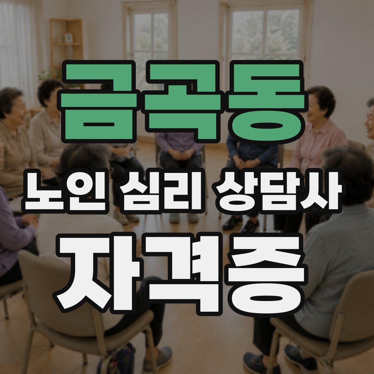 금곡동 노인 심리 상담사 자격증