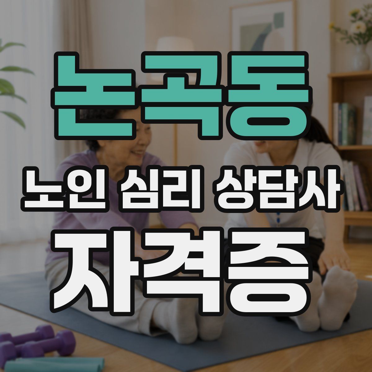 논곡동 노인 심리 상담사 자격증