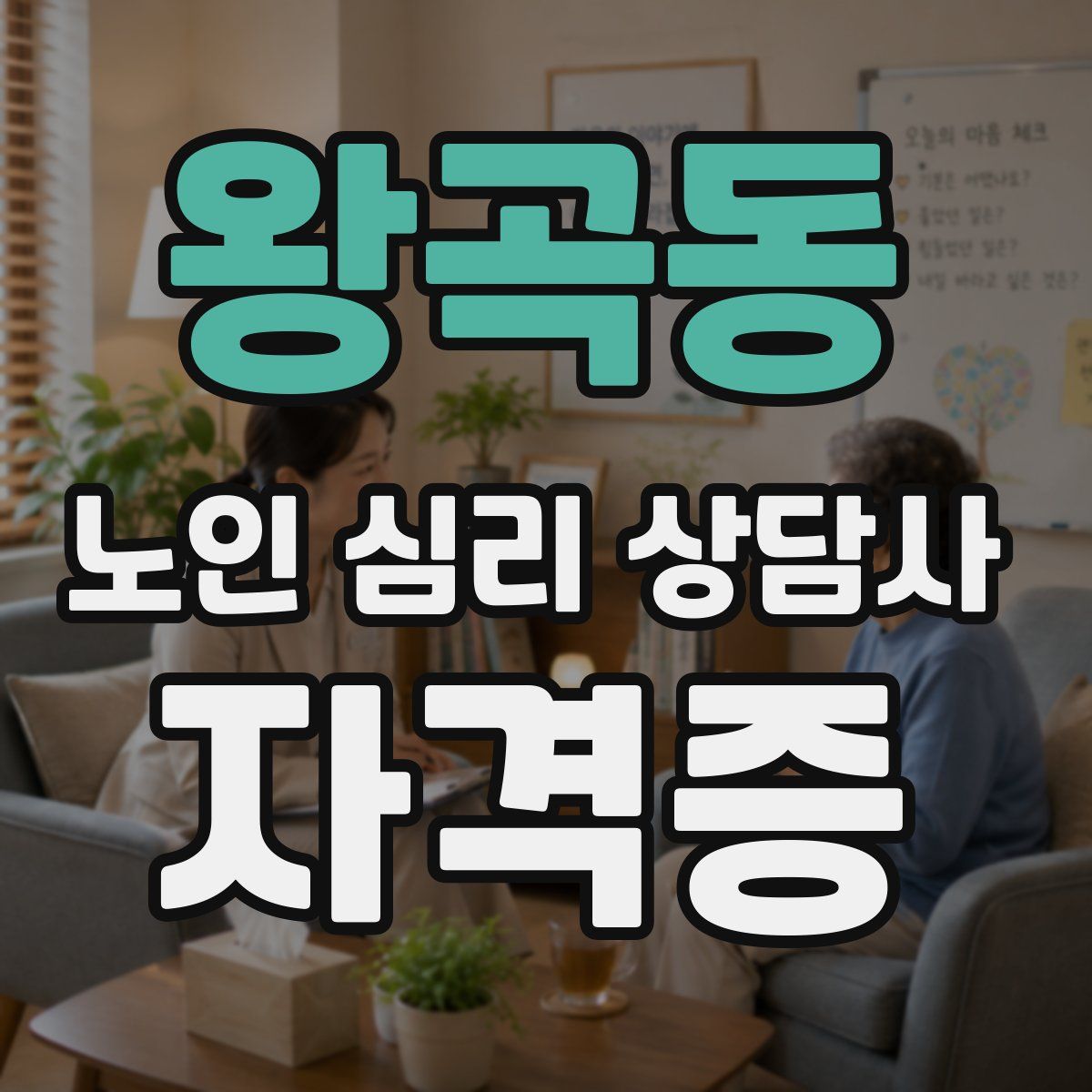 왕곡동 노인 심리 상담사 자격증