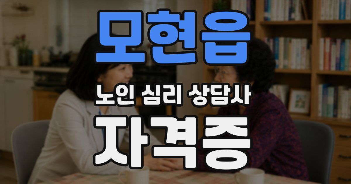 모현읍 노인 심리 상담사 자격증