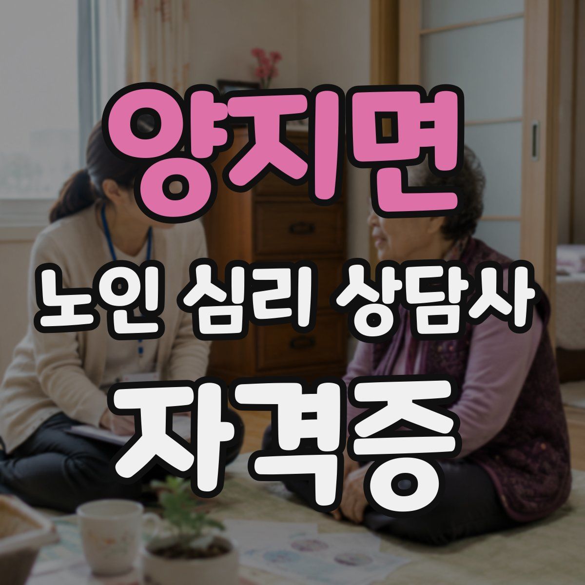 양지면 노인 심리 상담사 자격증