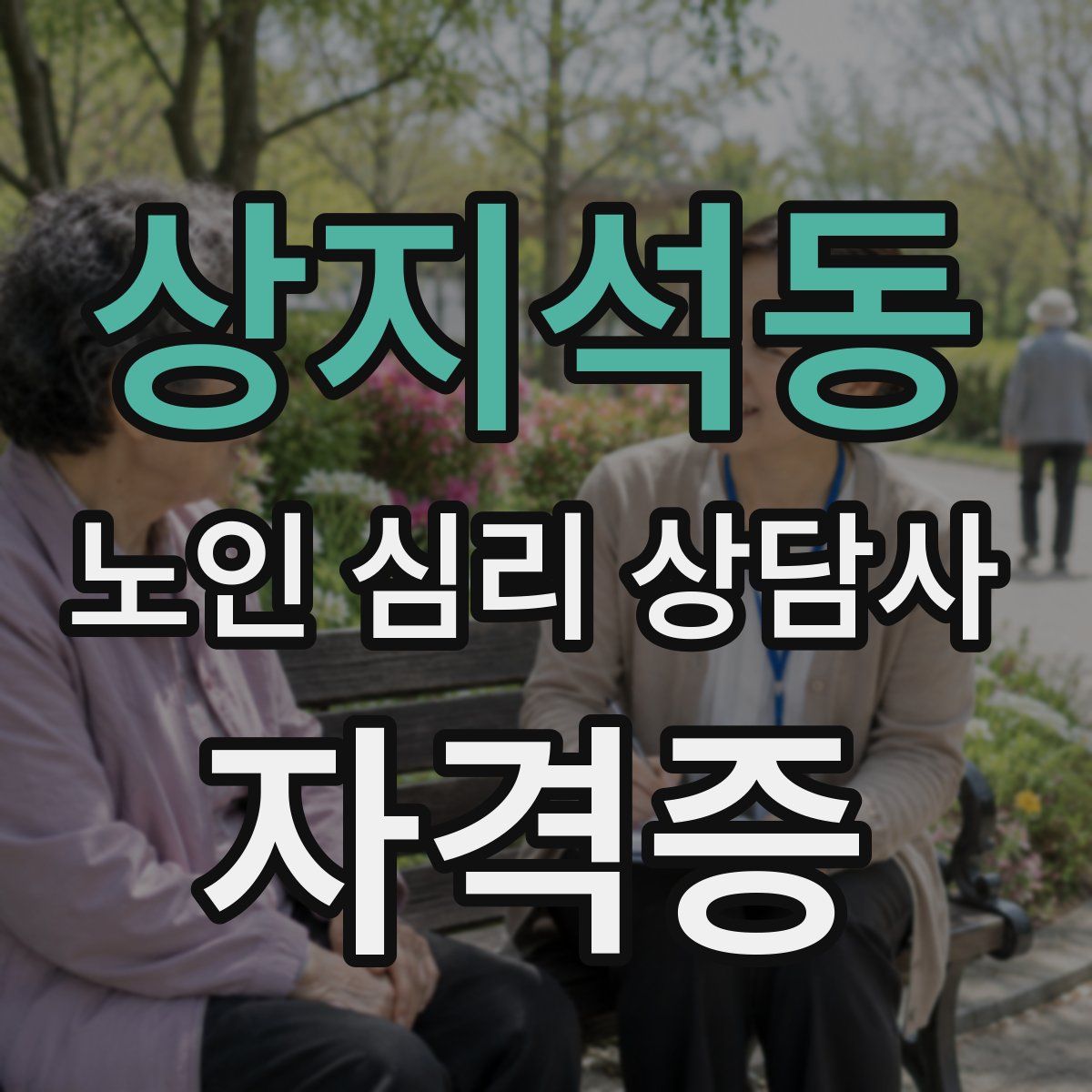 상지석동 노인 심리 상담사 자격증