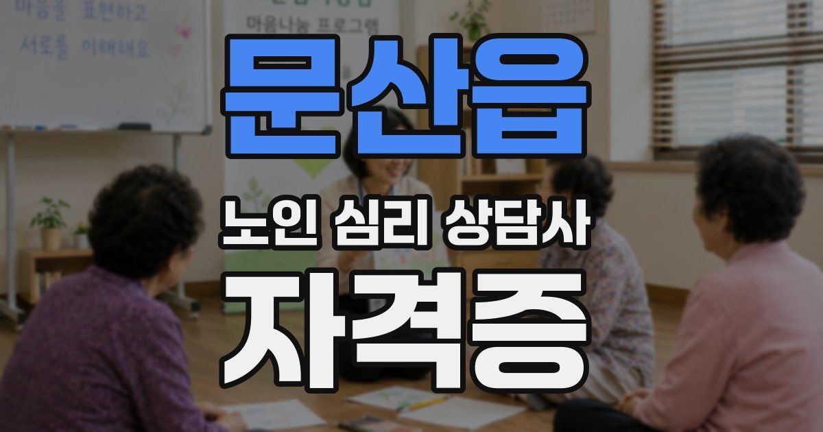 문산읍 노인 심리 상담사 자격증
