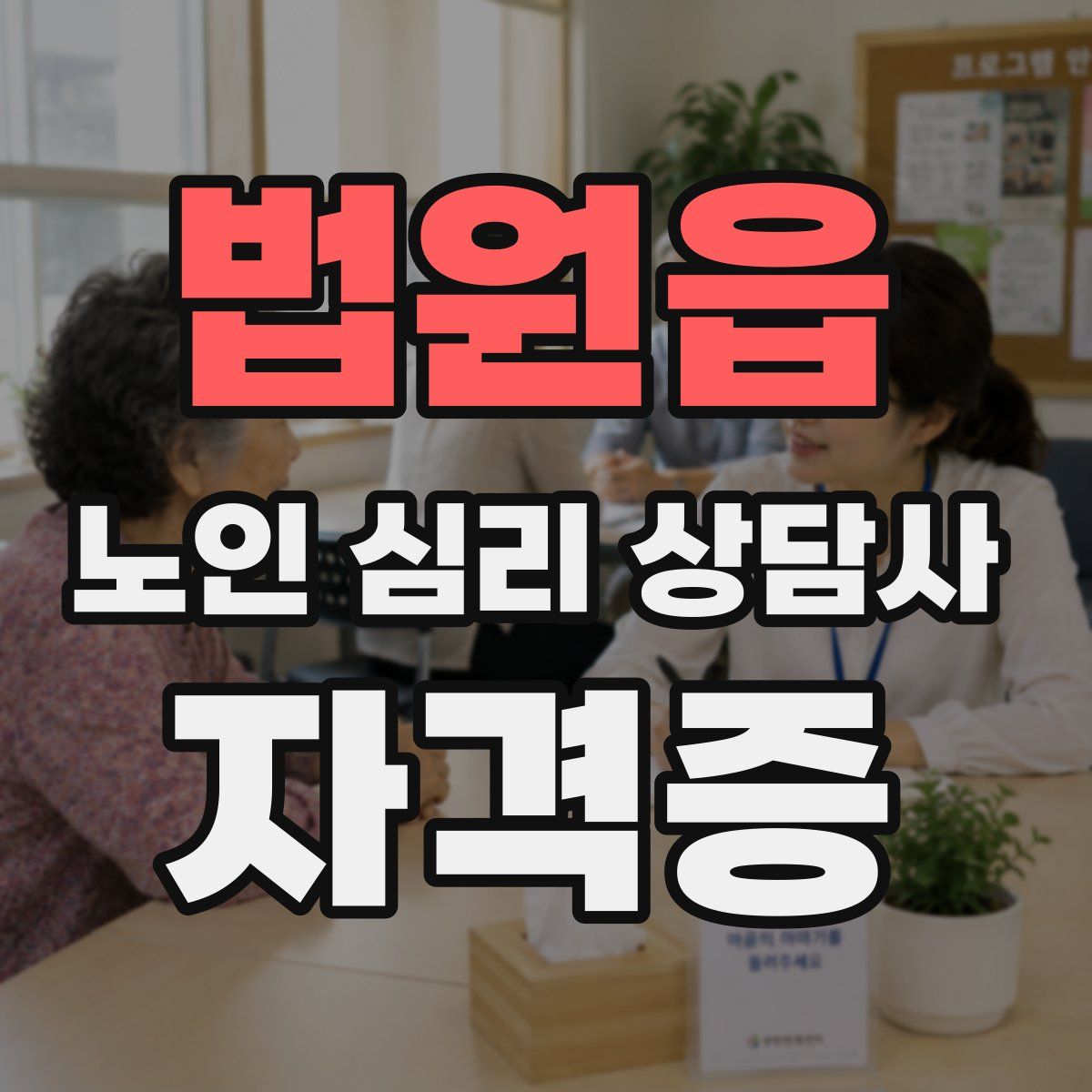 법원읍 노인 심리 상담사 자격증