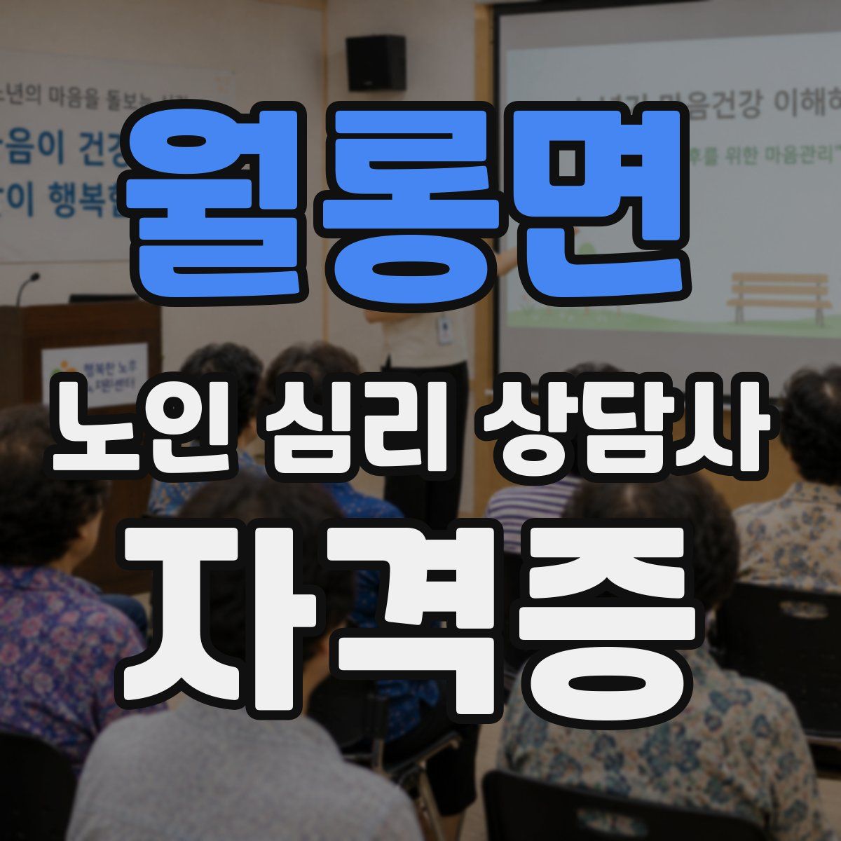 월롱면 노인 심리 상담사 자격증