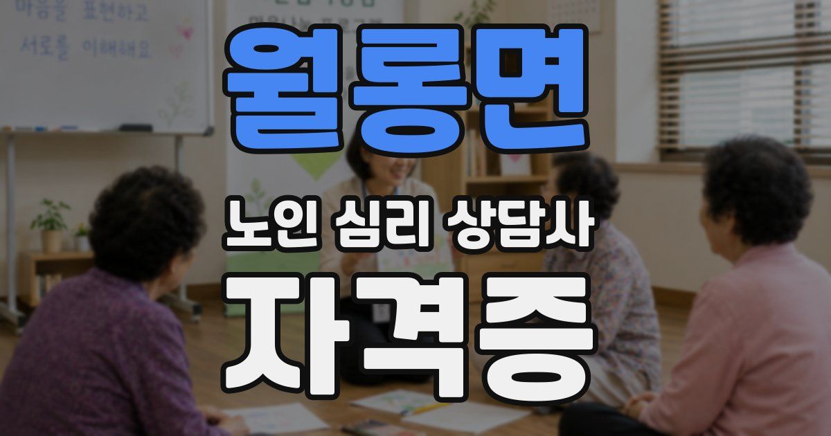 월롱면 노인 심리 상담사 자격증