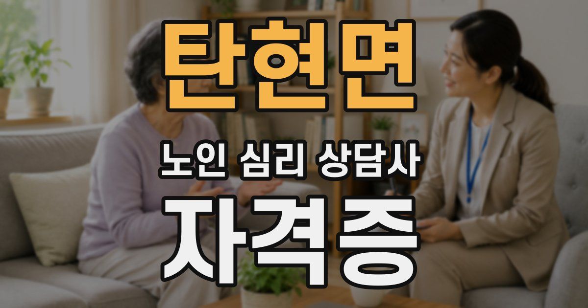 탄현면 노인 심리 상담사 자격증