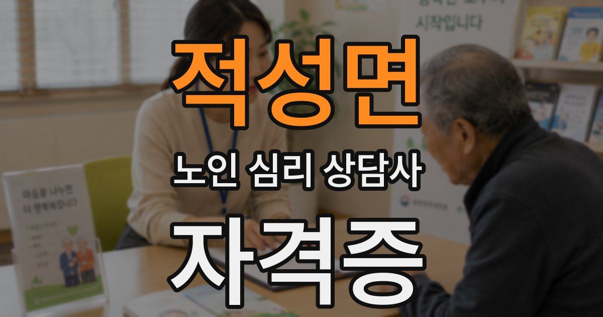 적성면 노인 심리 상담사 자격증