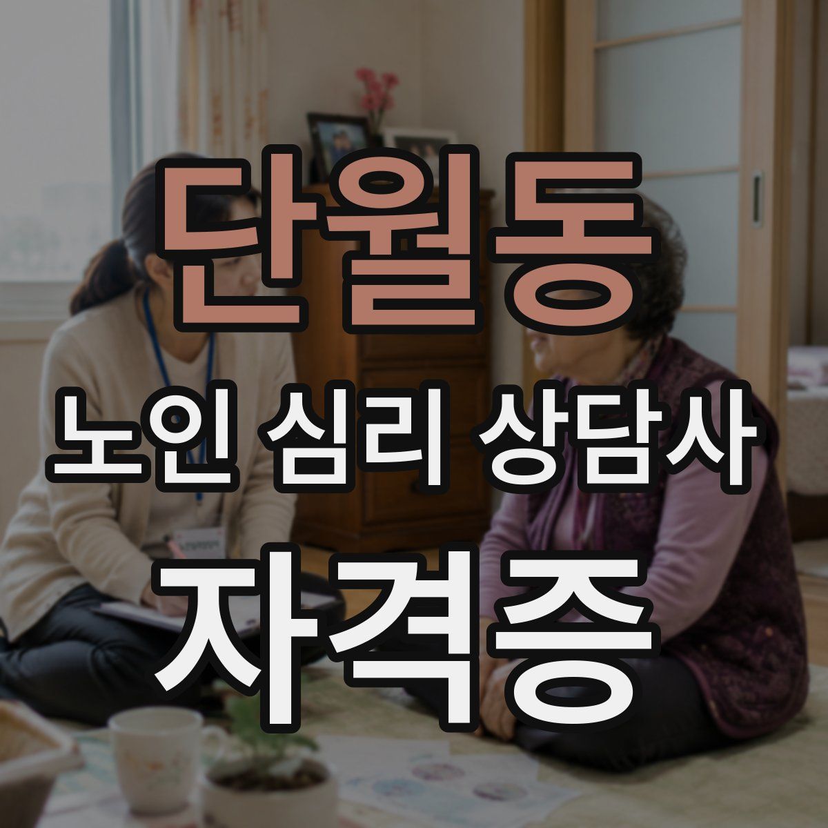 단월동 노인 심리 상담사 자격증
