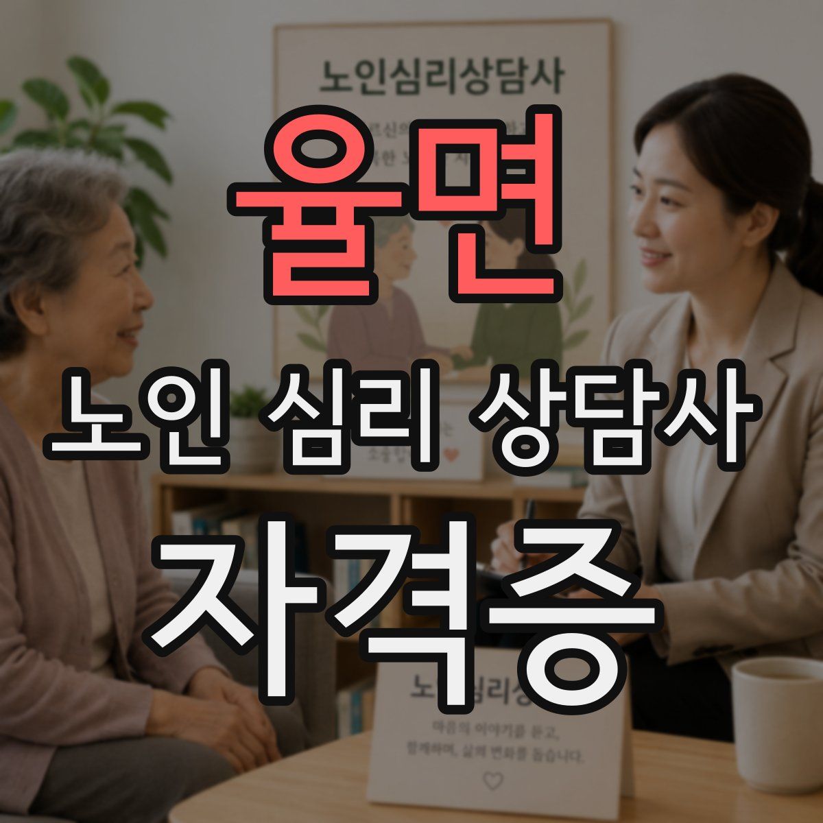 율면 노인 심리 상담사 자격증