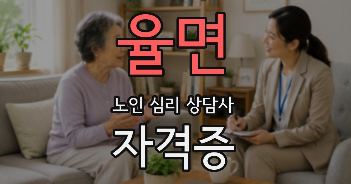 율면 노인 심리 상담사 자격증
