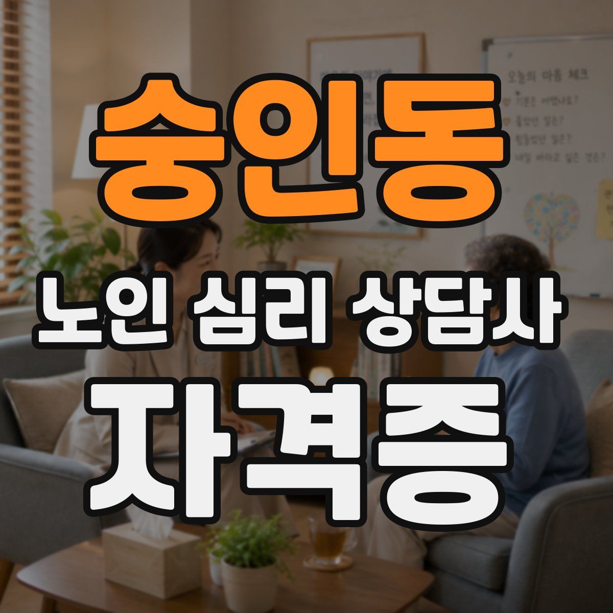 숭인동 노인 심리 상담사 자격증
