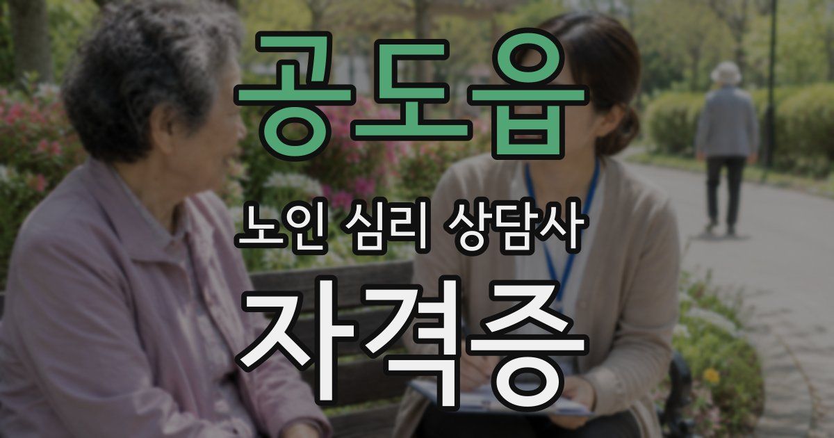 공도읍 노인 심리 상담사 자격증