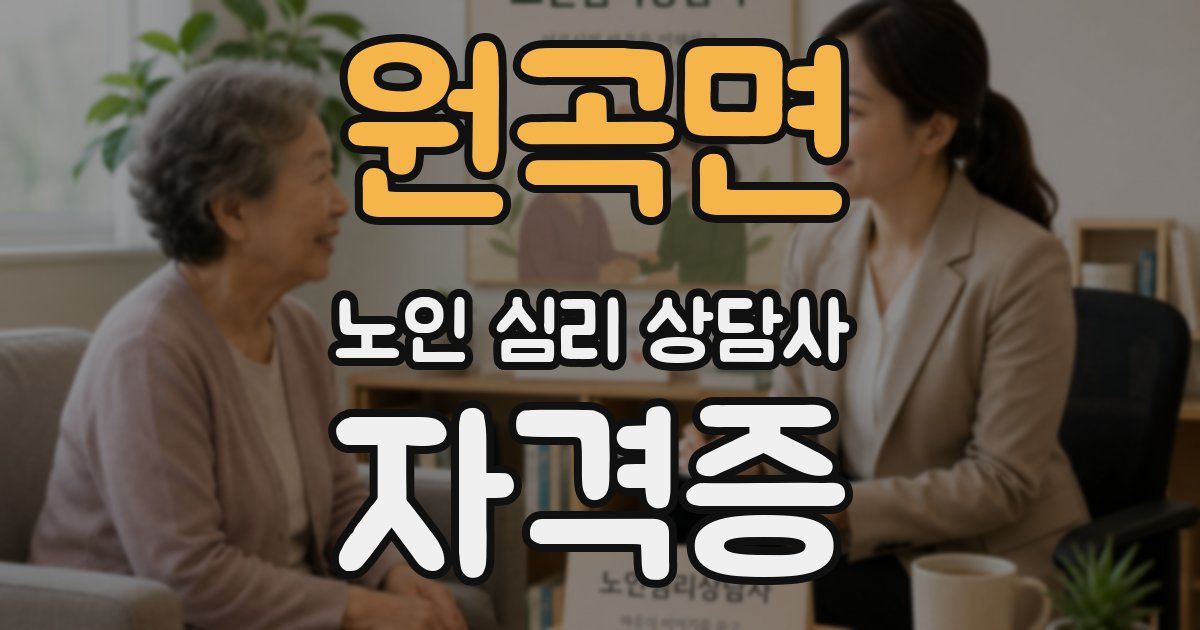 원곡면 노인 심리 상담사 자격증