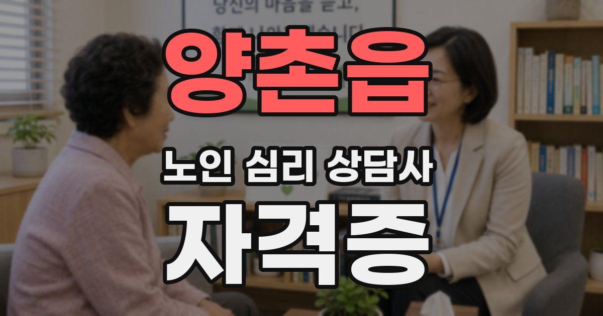 양촌읍 노인 심리 상담사 자격증
