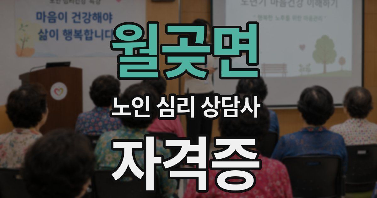 월곶면 노인 심리 상담사 자격증