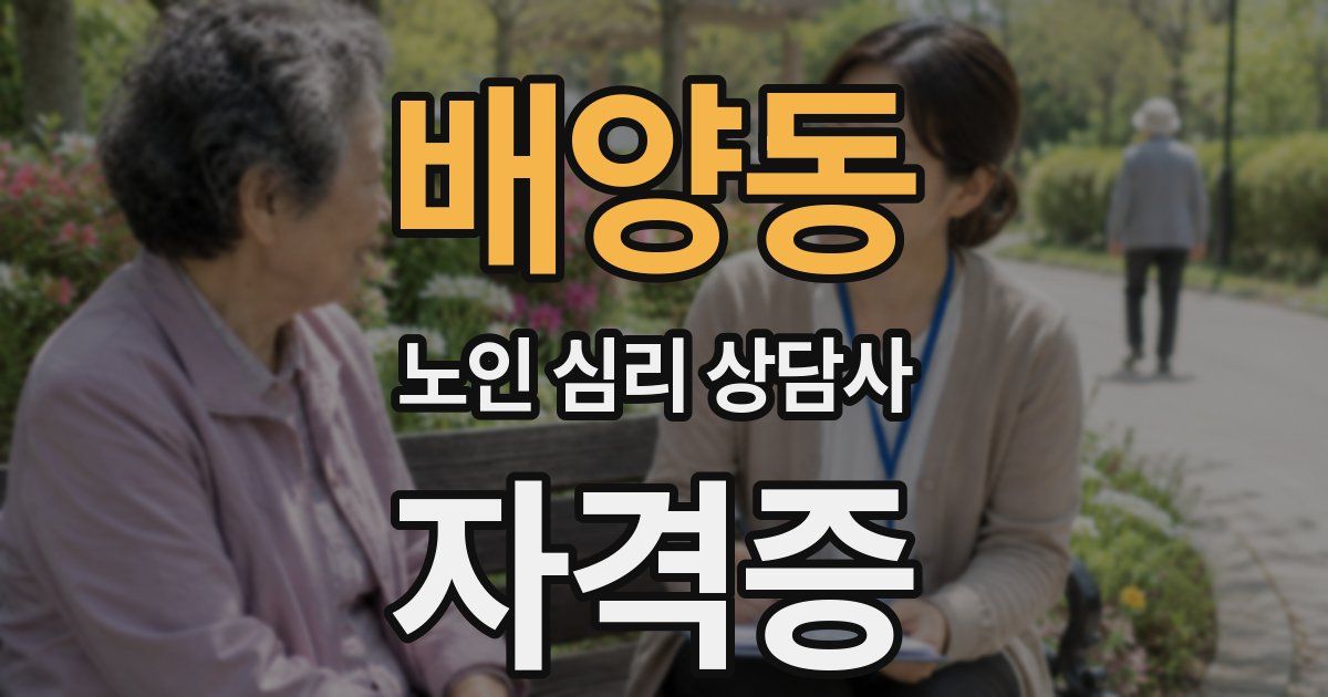 배양동 노인 심리 상담사 자격증