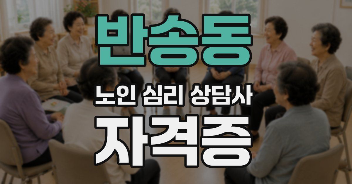 반송동 노인 심리 상담사 자격증