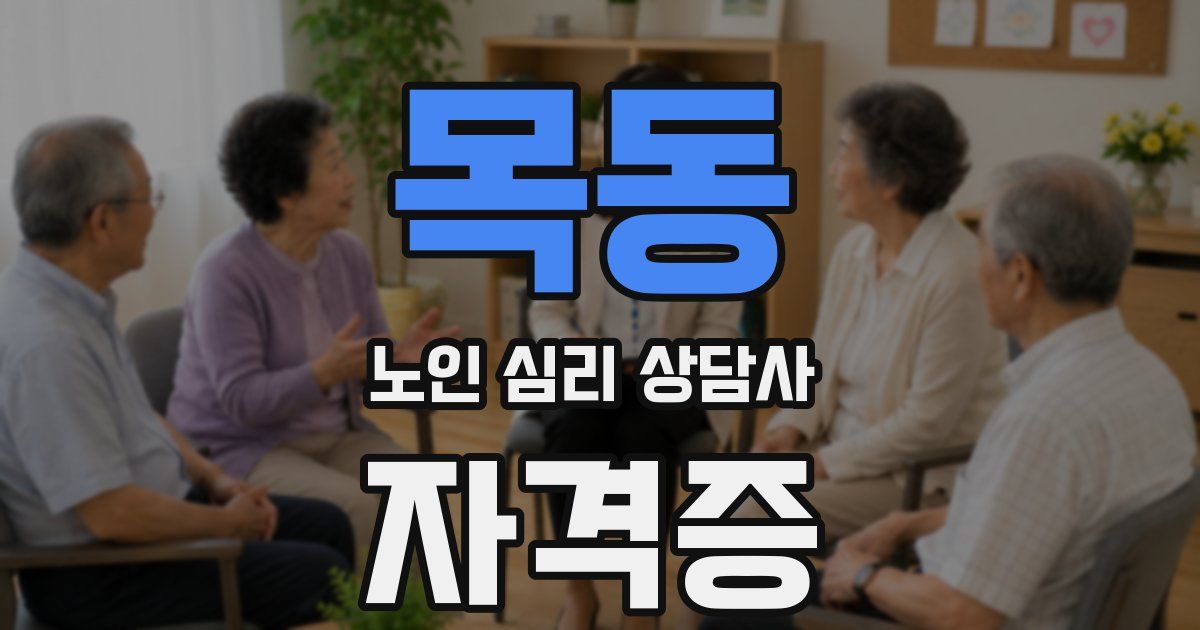 목동 노인 심리 상담사 자격증