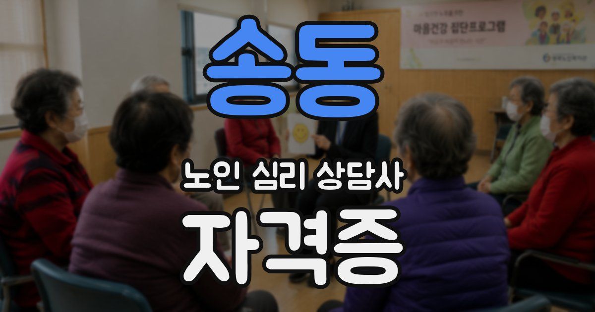 송동 노인 심리 상담사 자격증