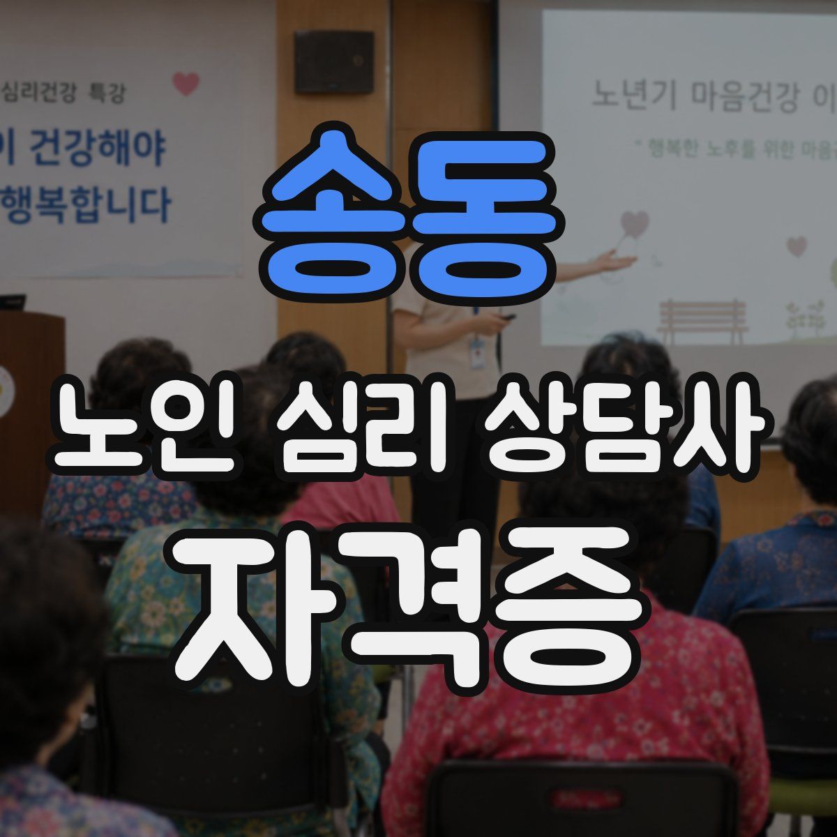 송동 노인 심리 상담사 자격증