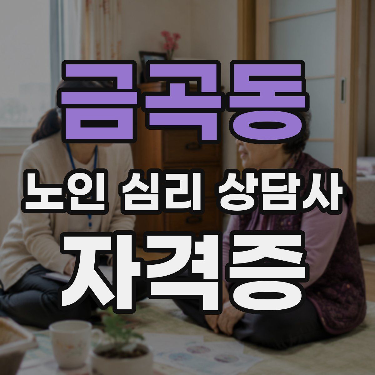 금곡동 노인 심리 상담사 자격증